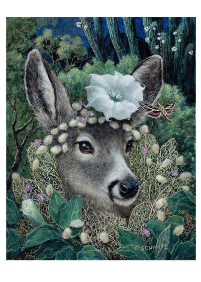 Moon and Stars mule deer